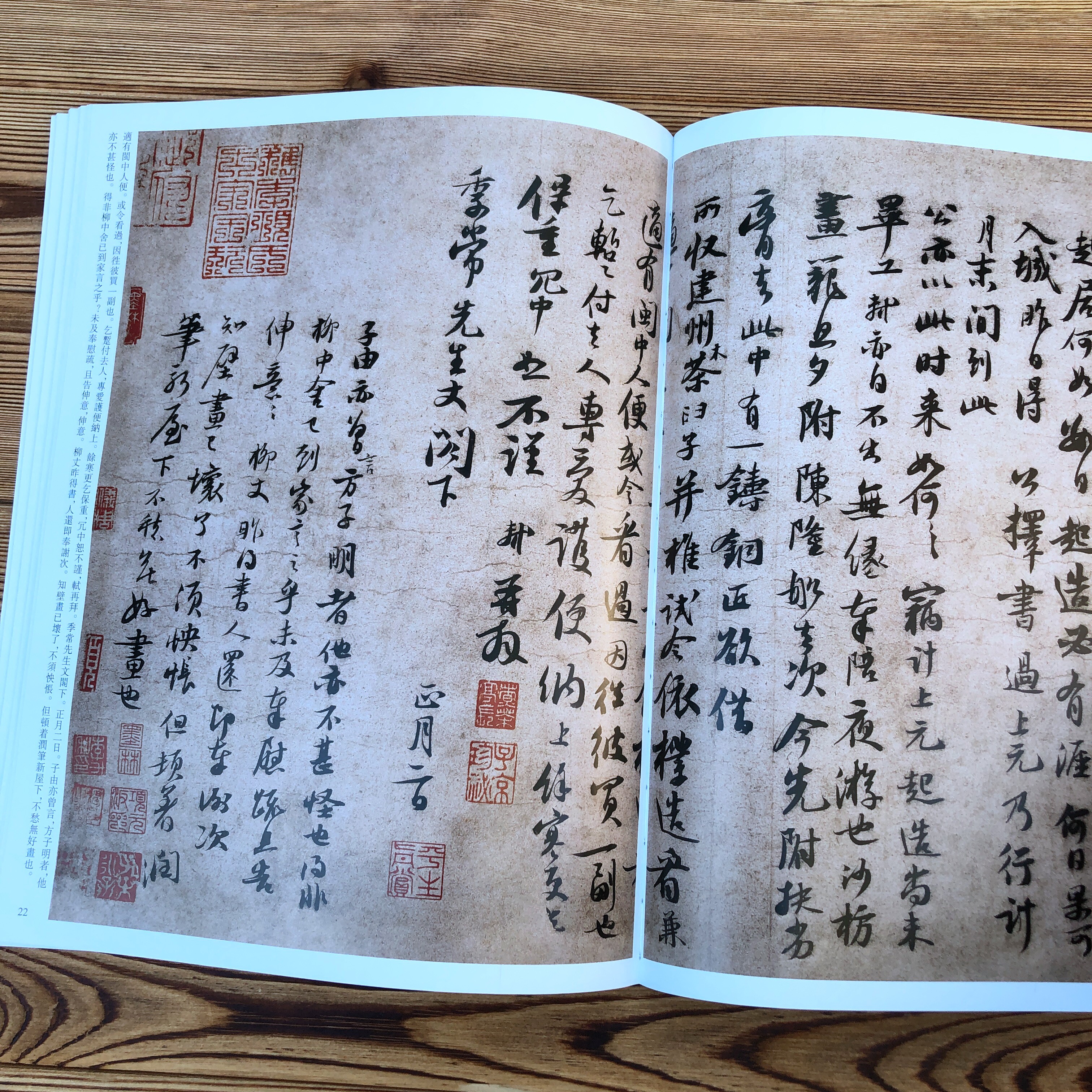 苏轼书法集行书字帖前赤壁赋黄州寒食帖檀木卷人来得书帖新岁展庆