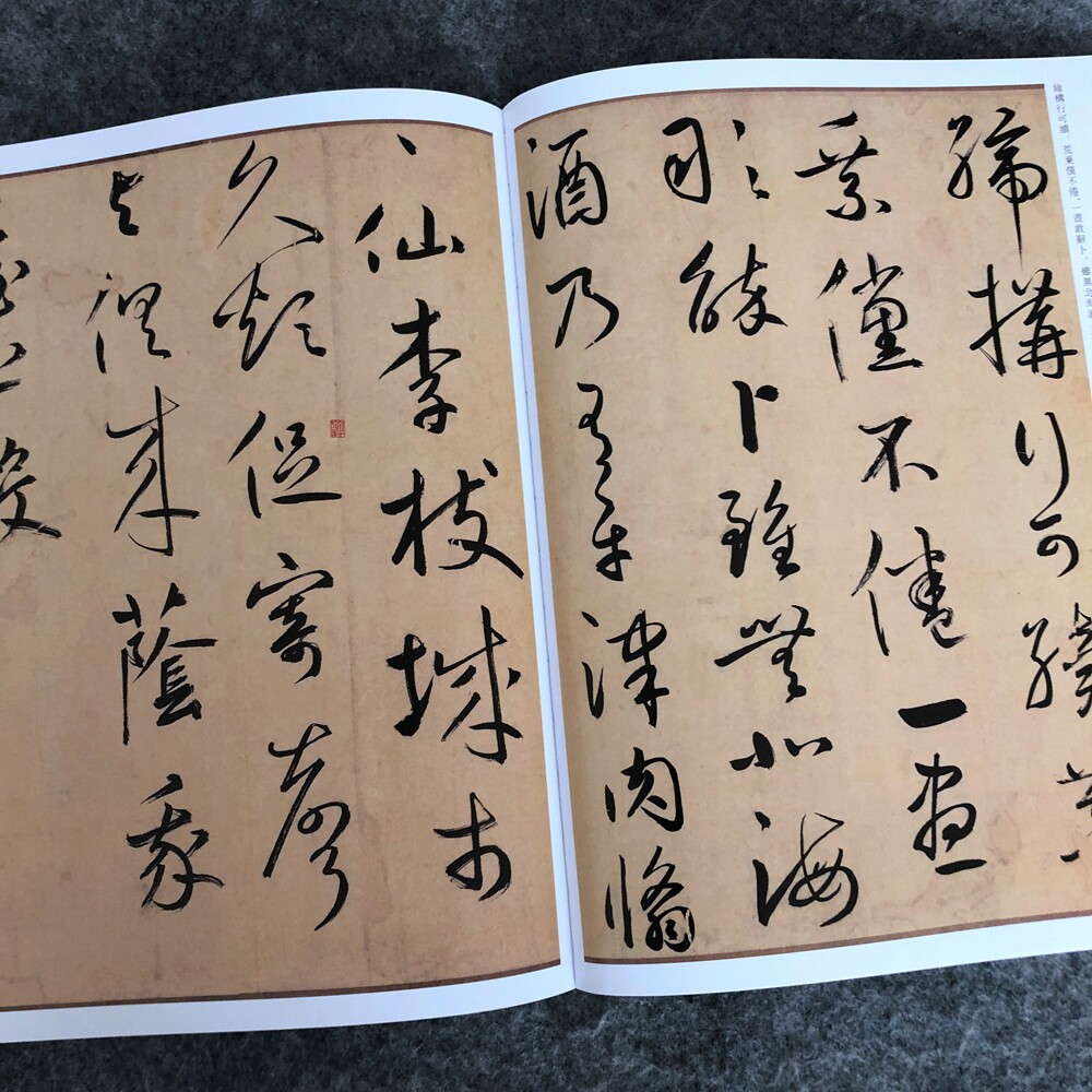 鲜于枢韩愈进学解王安石杂诗卷 醉时歌唐人诗词 草书杜甫魏将军歌