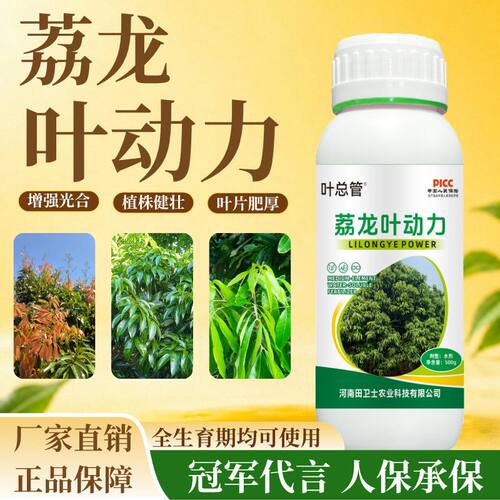 叶总管荔枝龙眼叶面肥厚叶抽梢