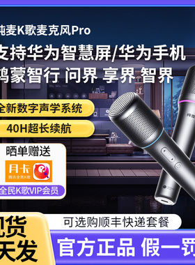 纯麦智能K歌麦克风pro华为智慧屏电视问界M5M7M9手机车载