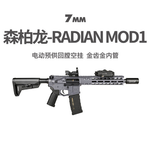 森柏龙radianmod1分体金齿空挂