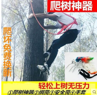 爬树神器猫爪图片素材