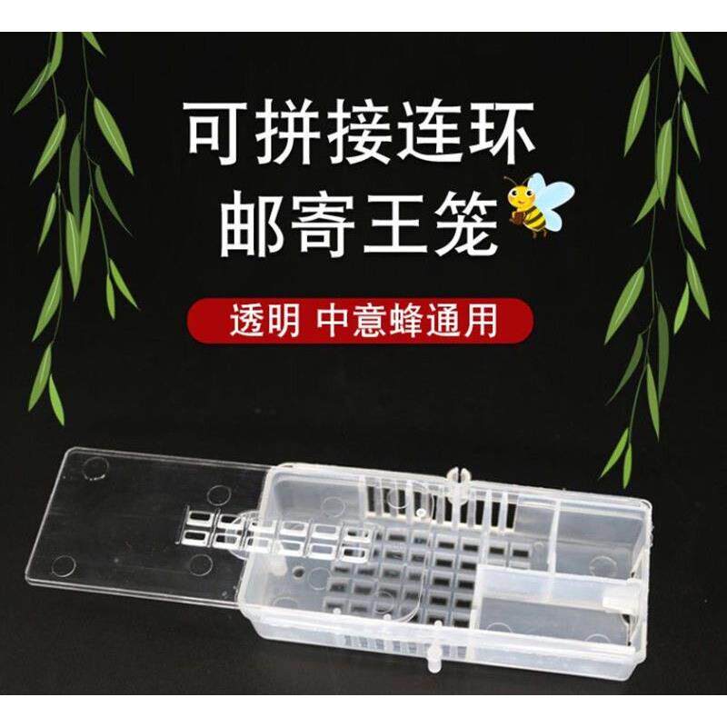 蜂王邮寄王笼 塑料蜜蜂蜂皇保护王龙 透明可视 养蜂工具包邮