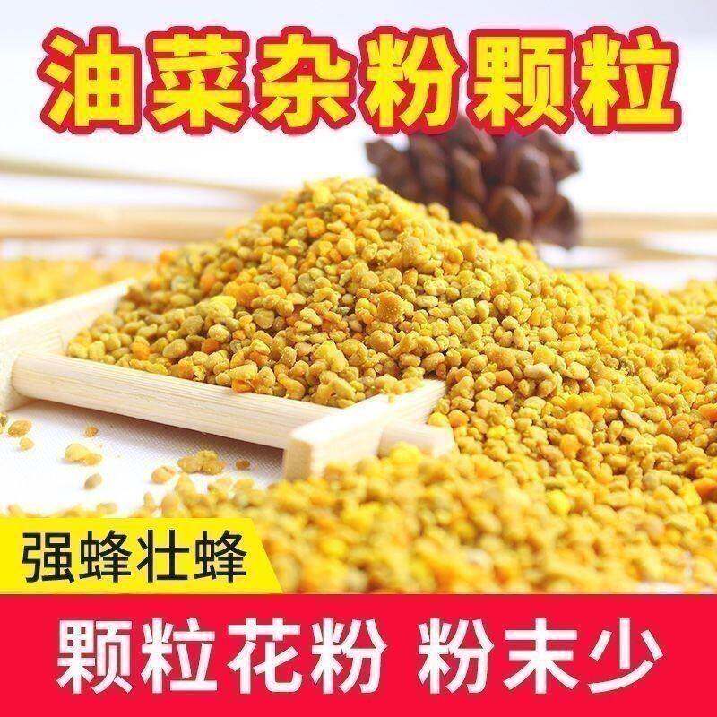 花粉养蜂喂蜂油菜杂粉茶花正品天然中蜂专用蜂粮纯粉颗粒蜜蜂饲料