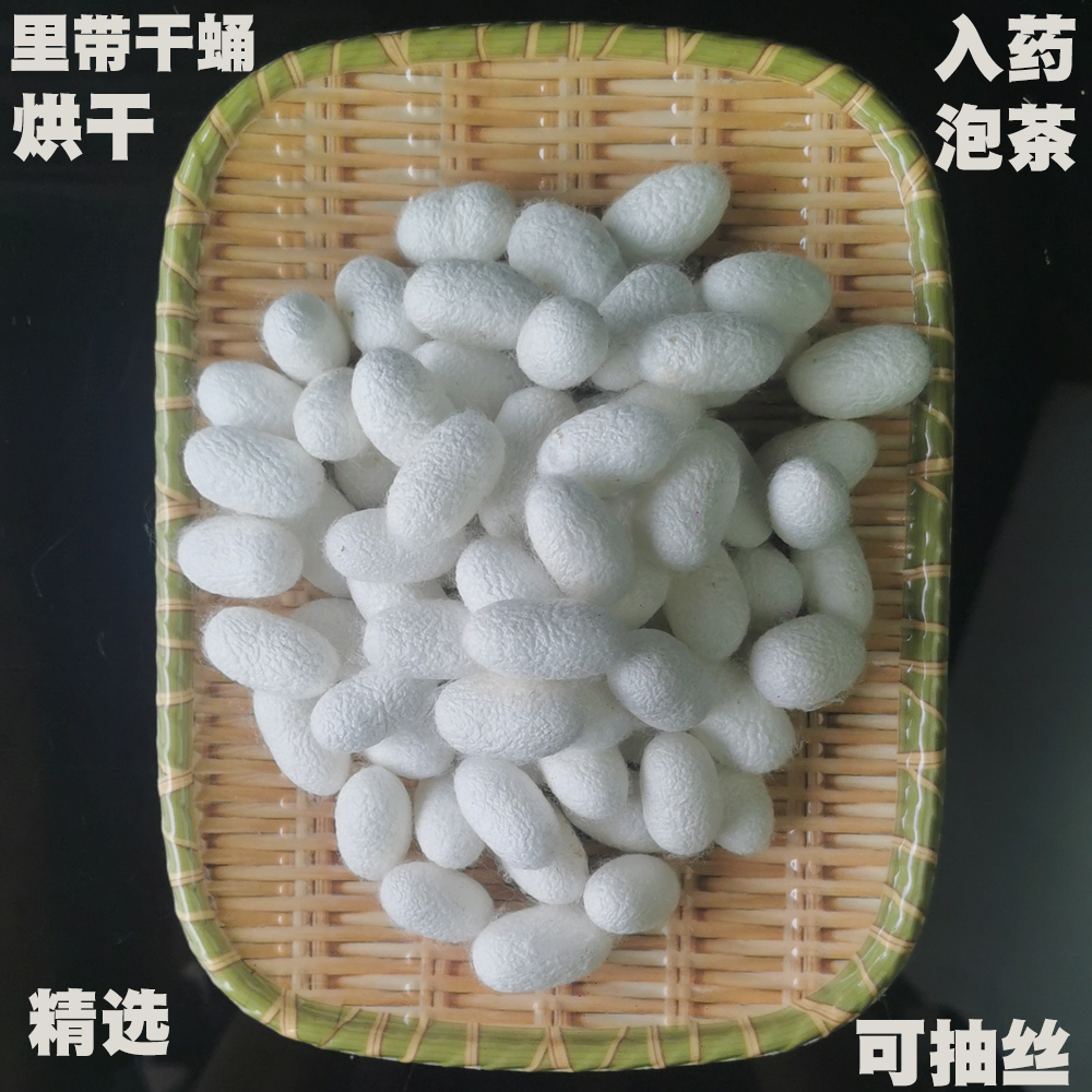 农家蚕茧桑蚕茧自养蚕丝扇