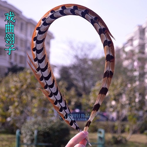 俏花旦天然戏曲京剧野鸡毛