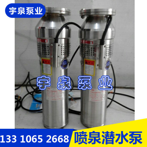 江苏徐州市喷泉专用潜水泵QSP65-10-3千瓦304不锈钢降水灌溉泵