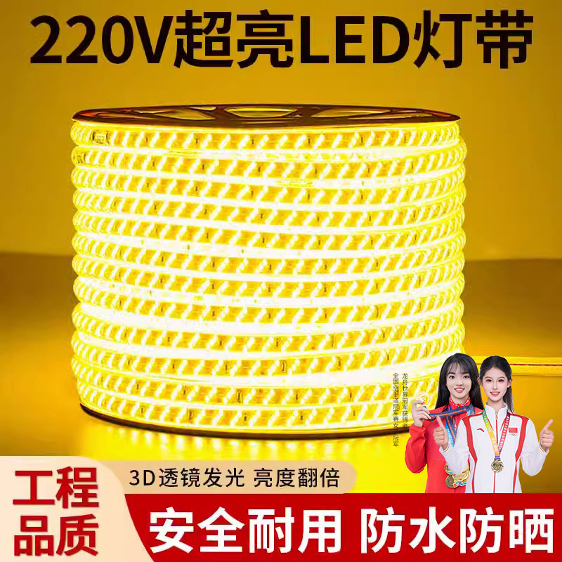led灯带户外防水220v客厅外墙专用工程室外暖光白暖色高压带灯条