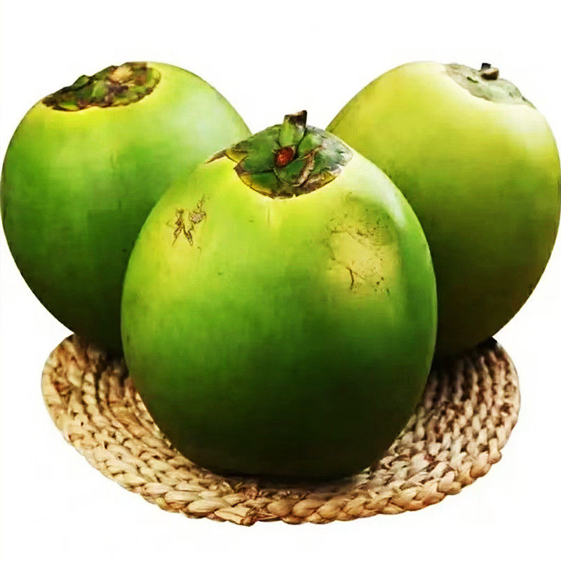 海南椰青万宁本地超大椰子新鲜现摘9个装包邮孕妇水果海南特产