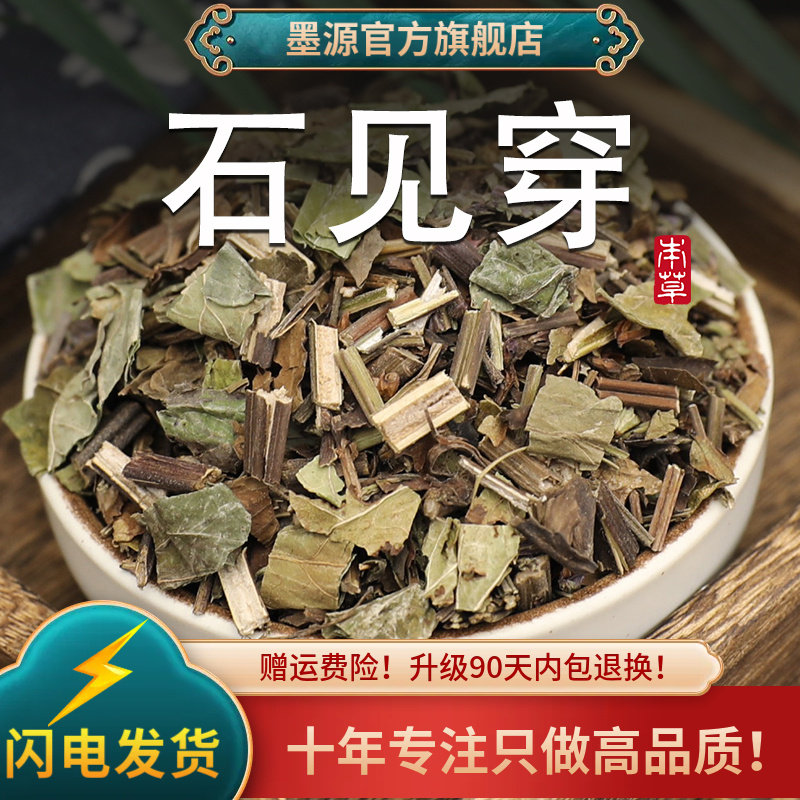 石见穿中药材华鼠尾草紫参草月下红石见川石大川中草药新鲜干货粉