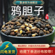 鸦胆子中药鸦胆子籽鸭胆子膏仁油中药材鸭蛋子粉老鸦胆大粒新干货