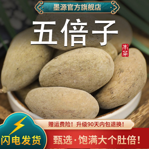 五倍子又名百虫仓冷库保鲜中药材