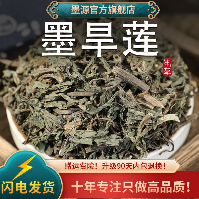 旱莲草中药材墨旱莲新鲜早旱连草非野生粉的搭何首乌女贞子和桑叶