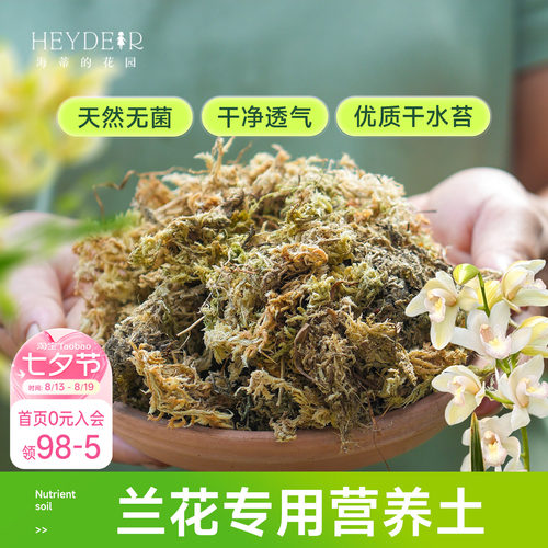 海蒂的花园水苔蝴蝶兰专用土兰花