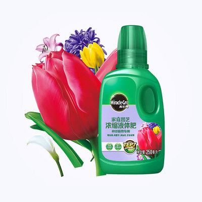 海蒂的花园种球型植物浓缩250ml