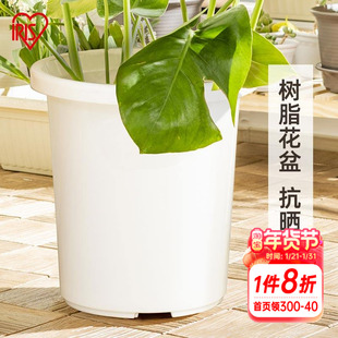 海蒂的花园爱丽思TILT素雅简约树脂塑料花盆月季绣球种植盆深型盆