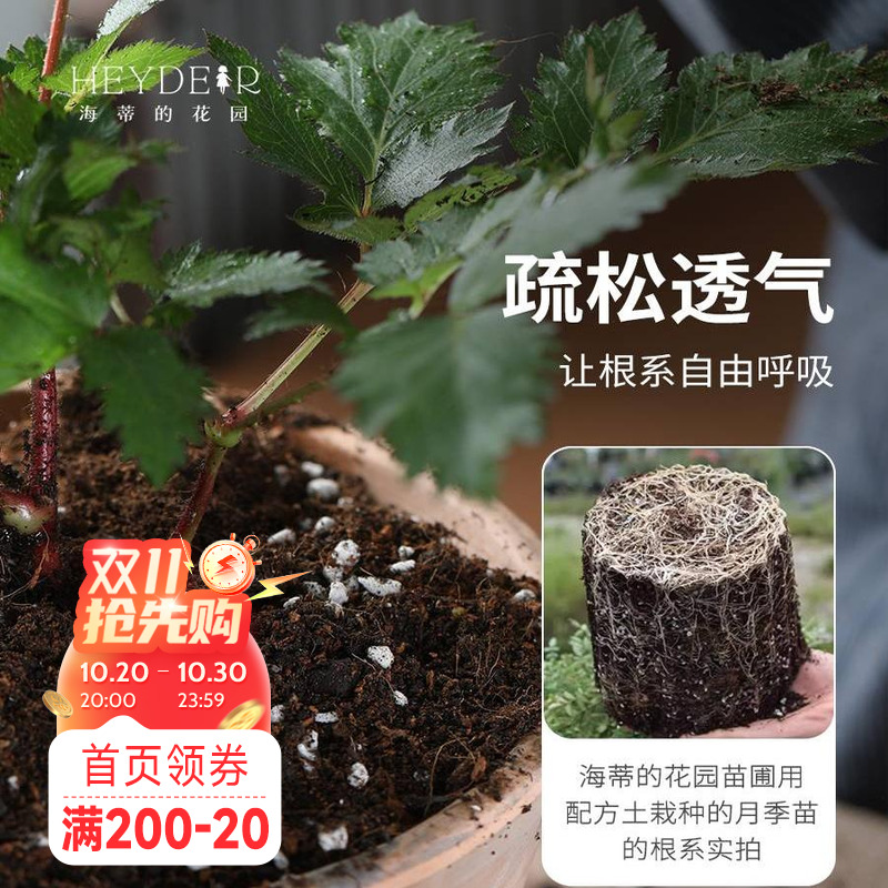 海蒂的花园营养土【12L】养花通用专用月季花土兰花土泥炭种植土