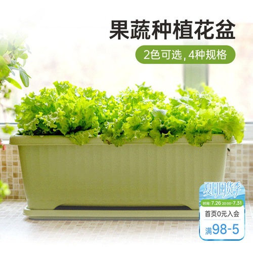 爱丽思果蔬种植盆种花花盆