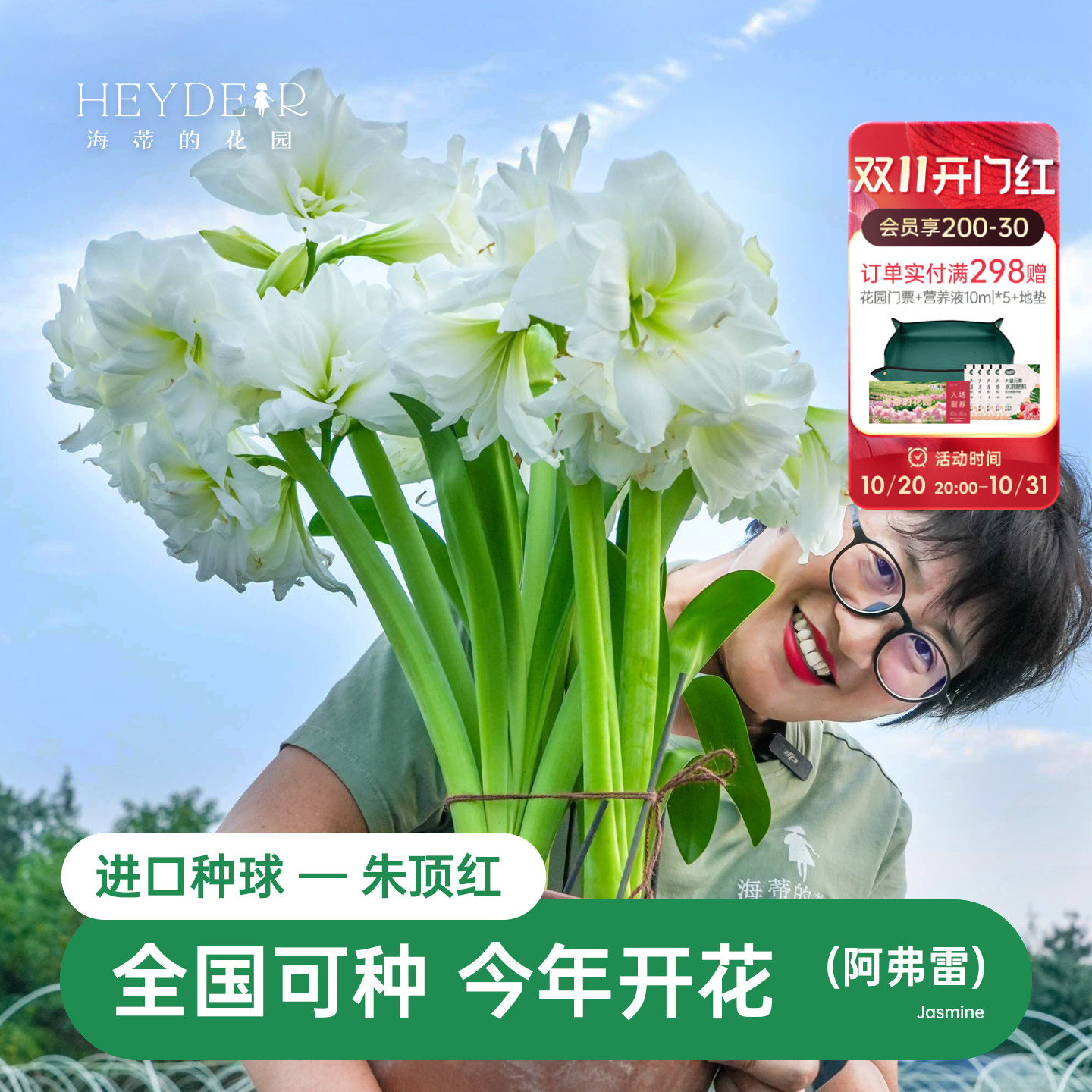 海蒂的花园朱顶红进口种球重瓣阿弗雷白色室内阳台开花球根植物