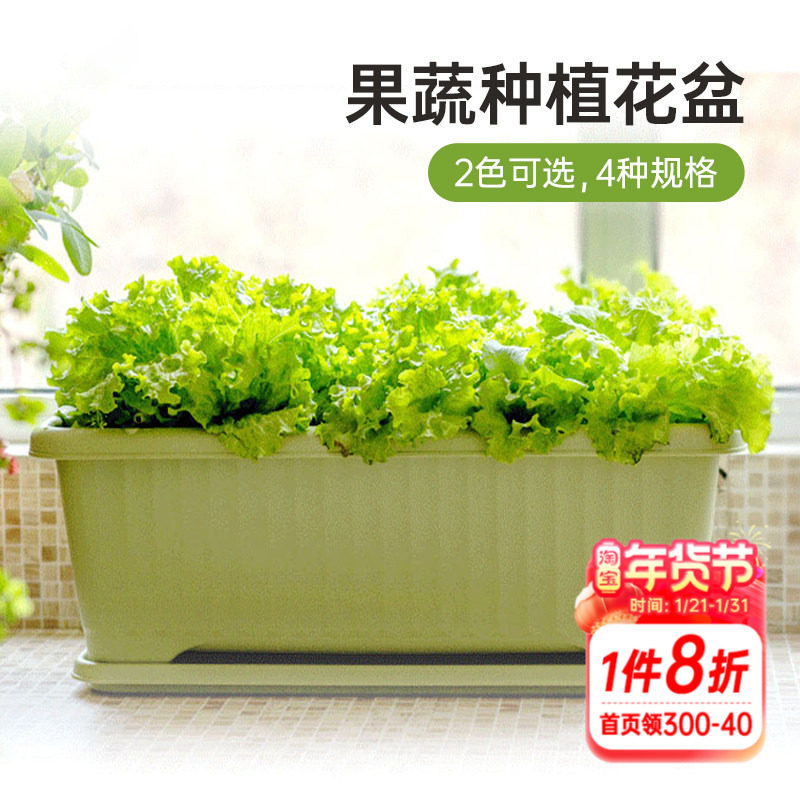 海蒂的花园 爱丽思果蔬种植盆蔬菜花卉阳台室外园艺浅型树脂花盆,鲜花速递/花卉仿真/绿植园艺,花盆,淘宝优惠券,粉丝福利购,淘宝优惠卷
