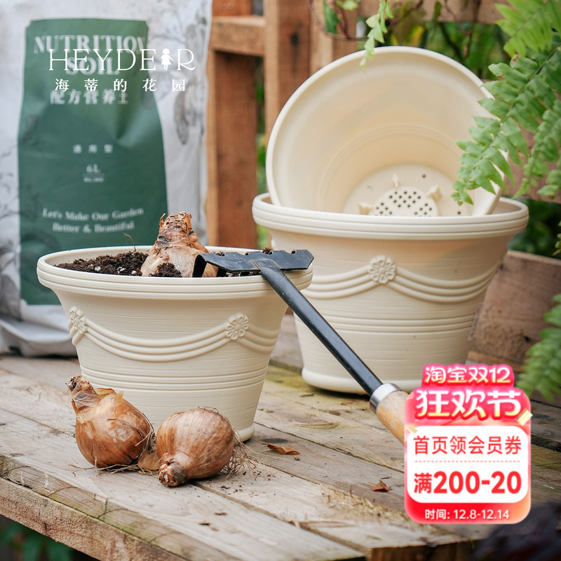 海蒂的花园  爱丽思波纹浮雕圆形花盆种球树脂花卉桌面种植盆耐用