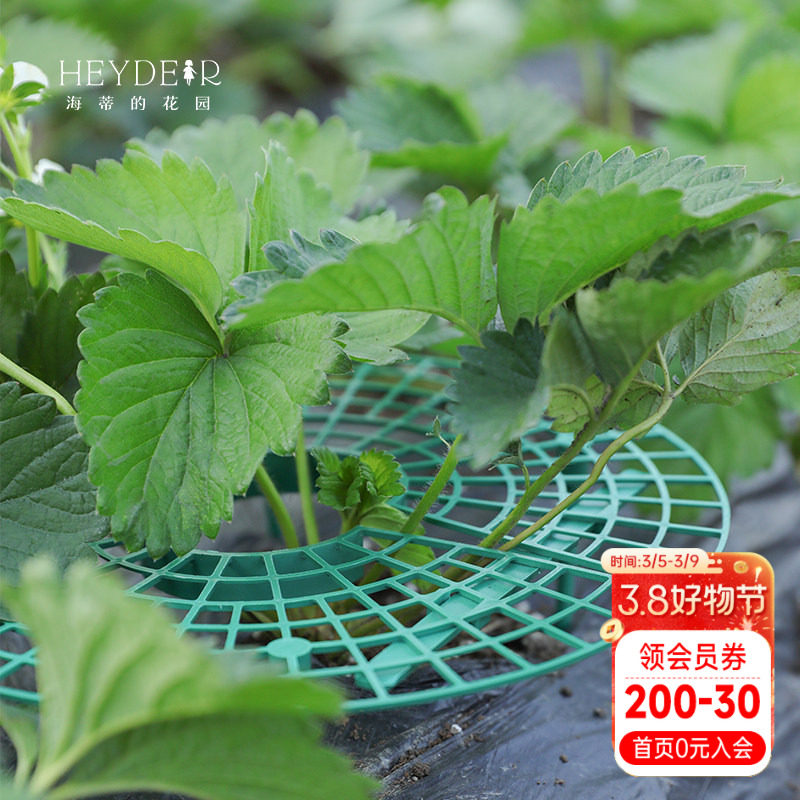 海蒂的花园 草莓架种植架盆栽果实花盆支架支撑神器授粉刷授粉笔