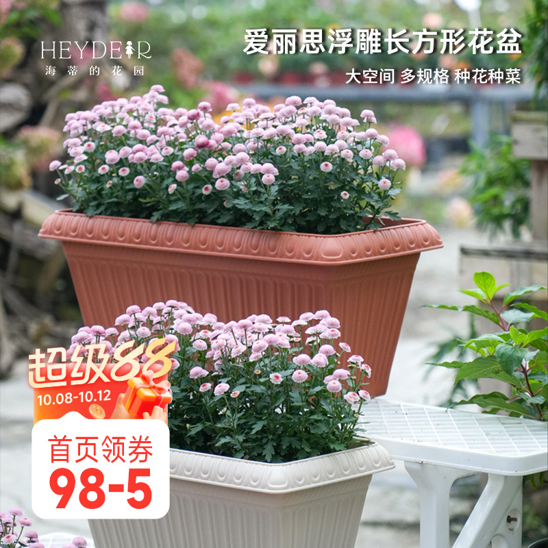 爱丽思浮雕长方形花盆
