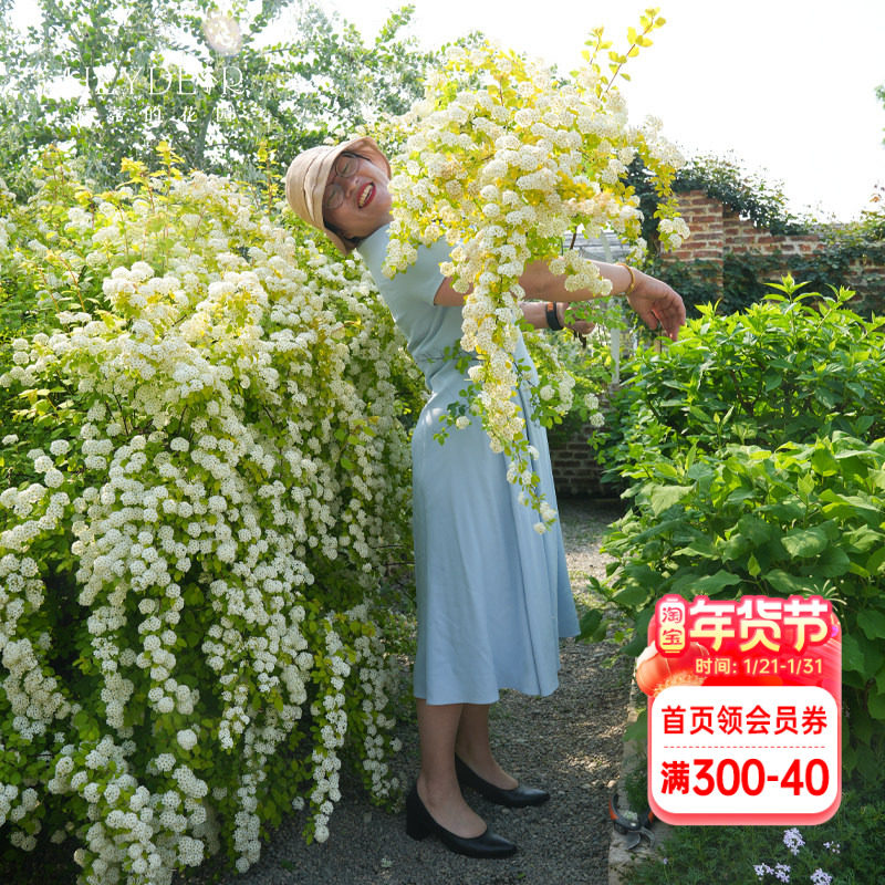 海蒂的花园  绣线菊黄金喷泉花灌木庭院观花观叶花卉植物盆栽花苗,鲜花速递/花卉仿真/绿植园艺,观叶 /花灌木,淘宝优惠券,粉丝福利购,淘宝优惠卷