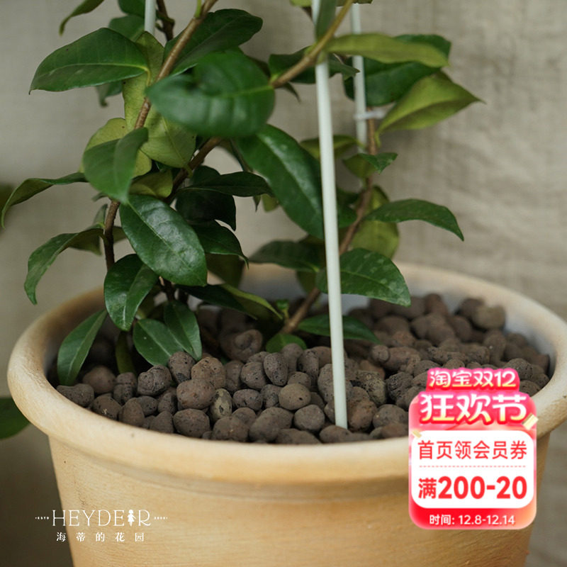 海蒂的花园 铺面陶粒花盆铺面石盆栽绿植花卉兰花垫底透气防烂根