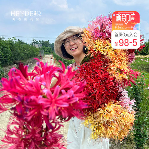 海蒂的花园彼岸花石蒜种球