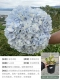 【Новый продукт】 Dahua Hydrangea Золотая поэзия 1G