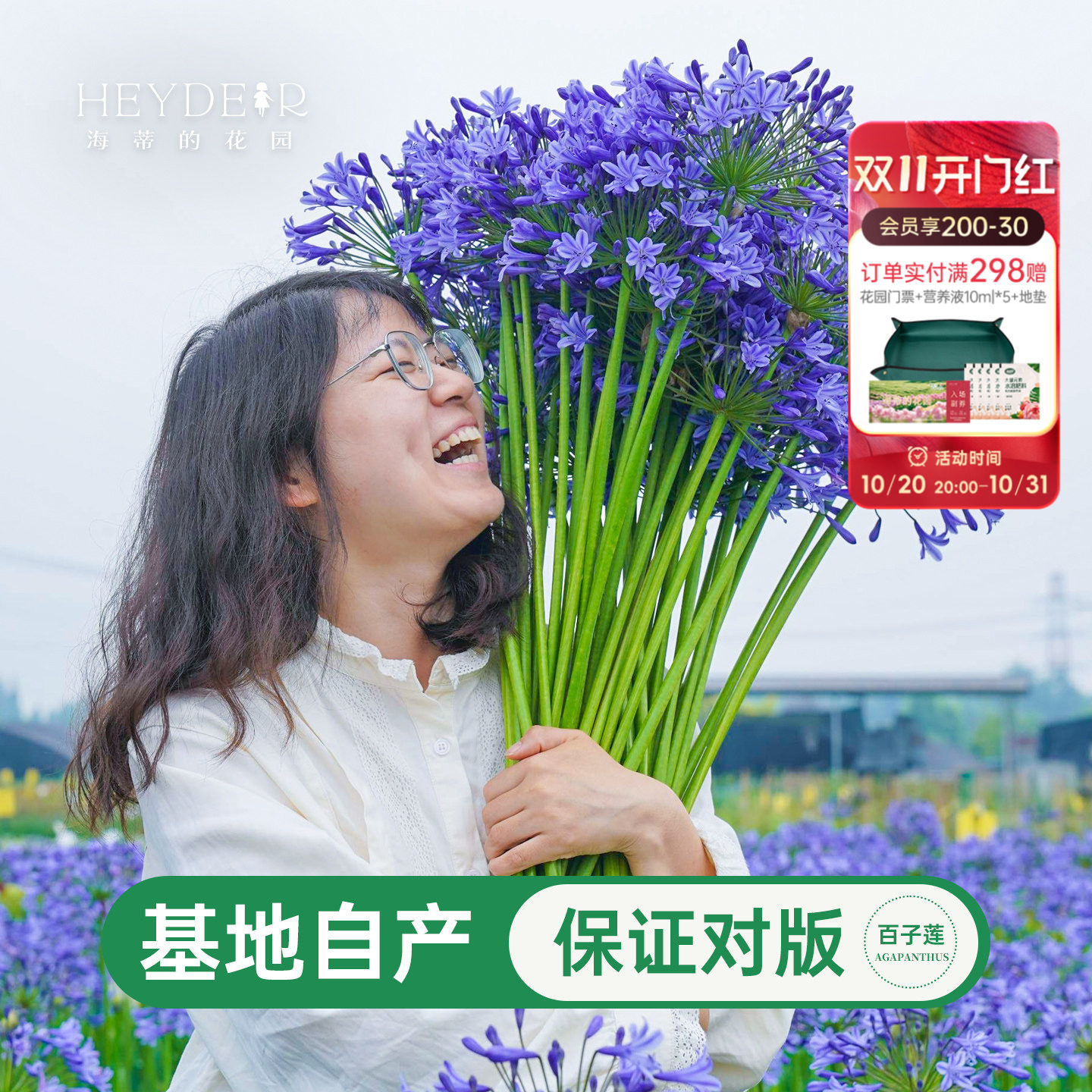 海蒂的花园百子莲圣母皇太后银宝宝庭院耐热耐晒植物花卉盆栽