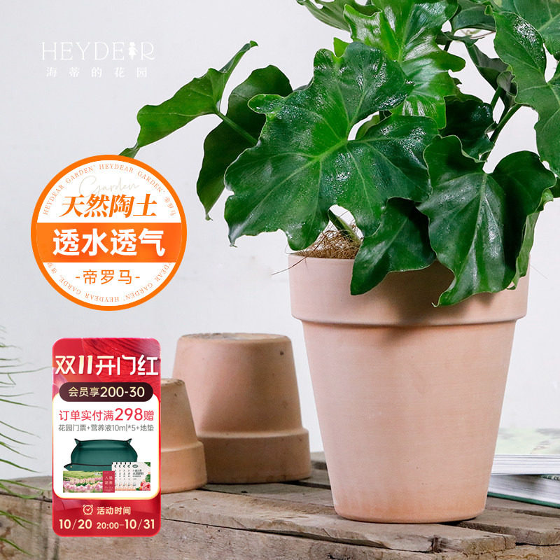海蒂的花园  帝罗马陶盆国际盆阳台花卉绿植兰花栽种花盆