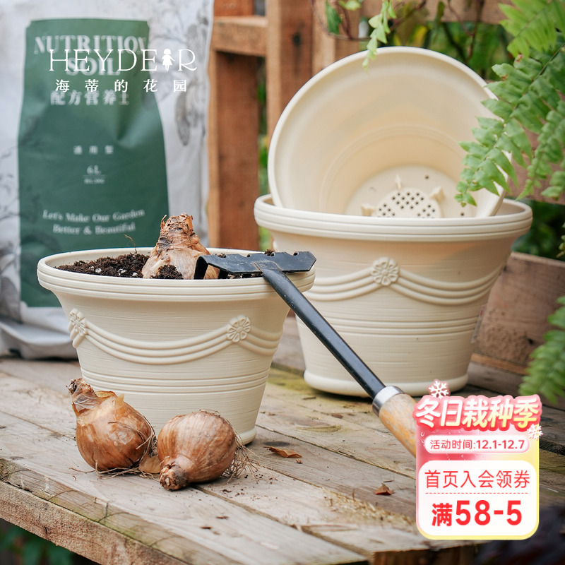 海蒂的花园  爱丽思波纹浮雕圆形花盆种球树脂花卉桌面种植盆耐用