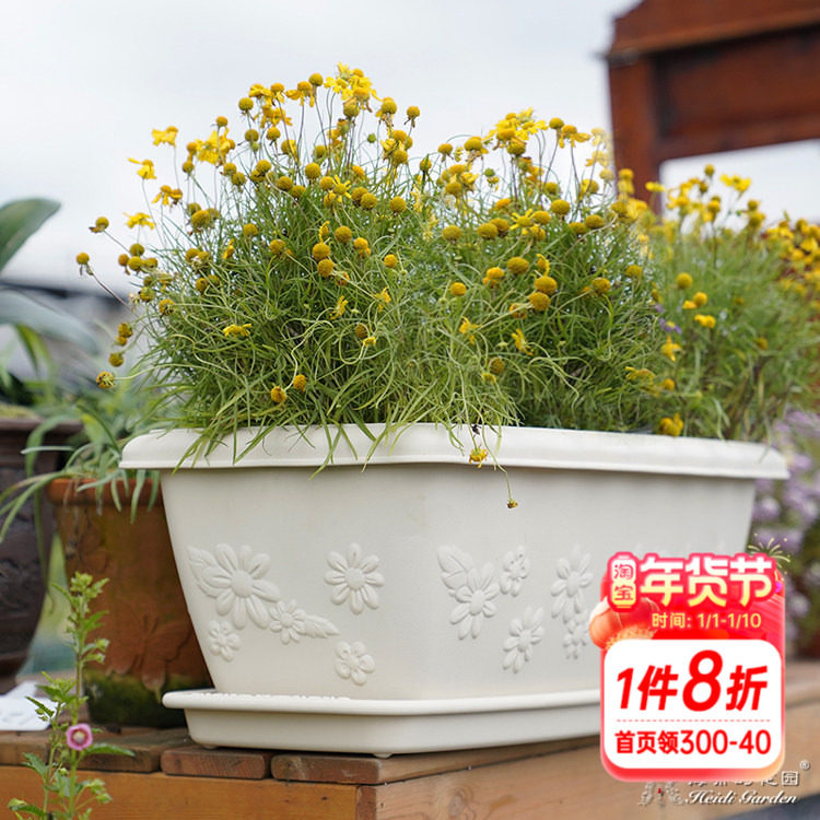 海蒂的花园花盆托盘爱丽思长条盆树脂园艺花盆托长方形底垫防漏水