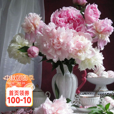 海蒂的花园成都总店芍药花苗