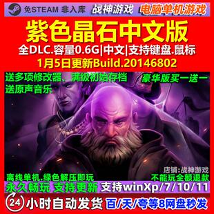 紫色晶石Stoneshard 中文版 全DLC 免steam 电脑PC单机游戏