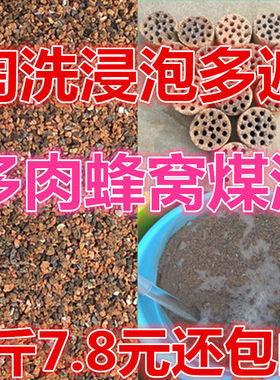 透气营养土多肉营养土透气煤球渣