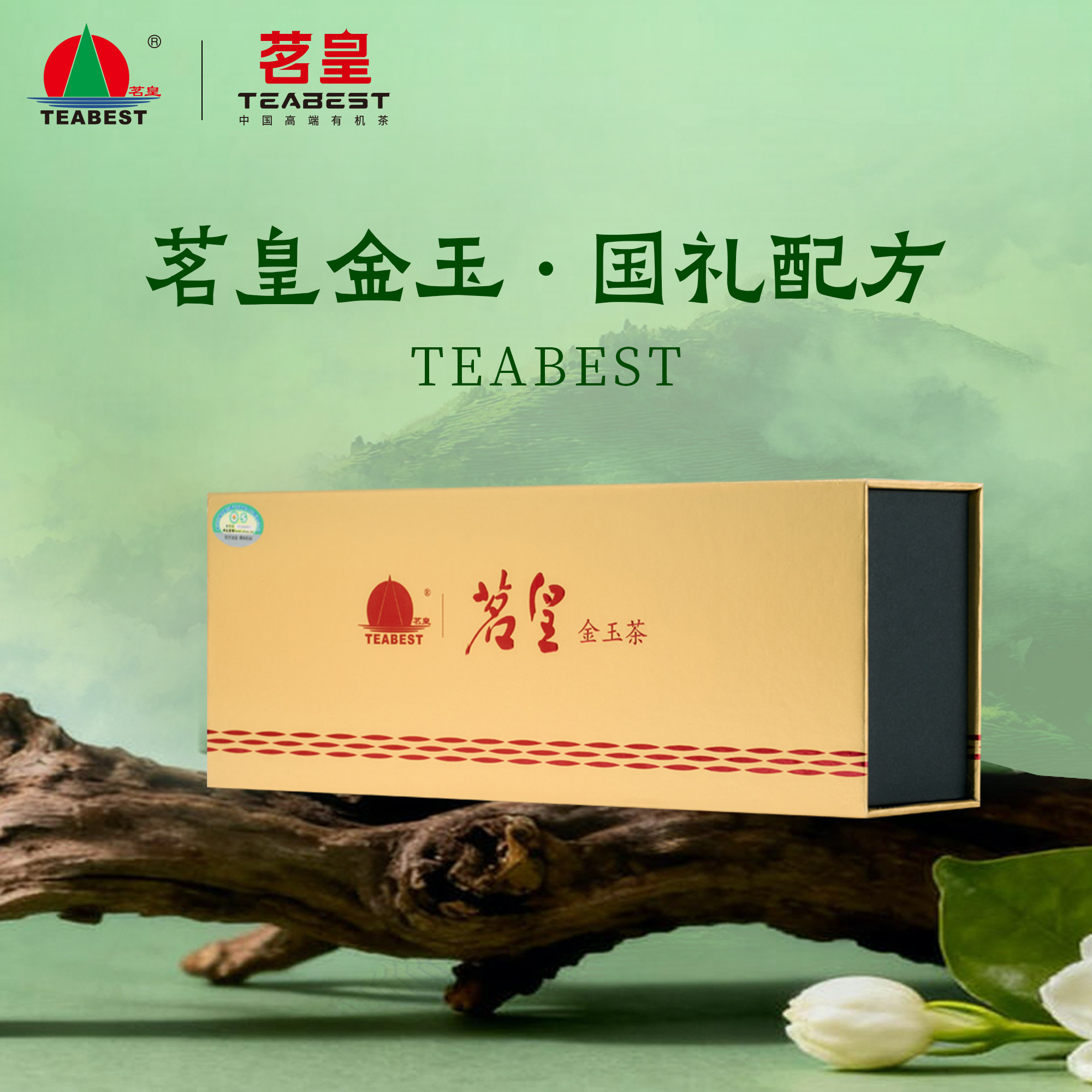2026乌龙茶新茶茗皇生态有机茶园 金玉乌龙茶 400g 两条礼盒装