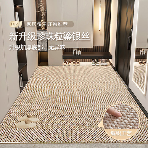 高端入户门地垫2025新款轻奢进门门口入门地毯耐脏门垫防滑脚垫子