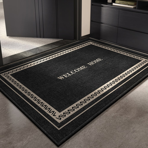 新款地垫轻奢入户门垫大门进门耐脏免洗脚垫家用定制加厚防滑地毯