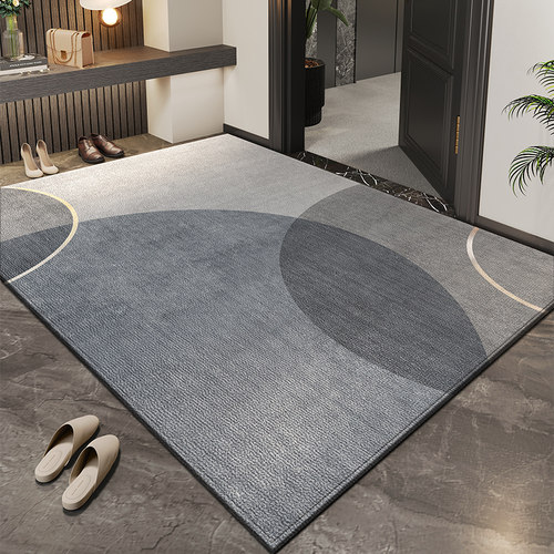 入户门地垫2025新款家用免洗入门玄关脚垫进门可裁剪高级门口地毯