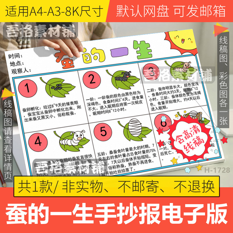 蚕的一生手抄报模板电子版小学养蚕日记自然笔记手抄报线稿a3a48k