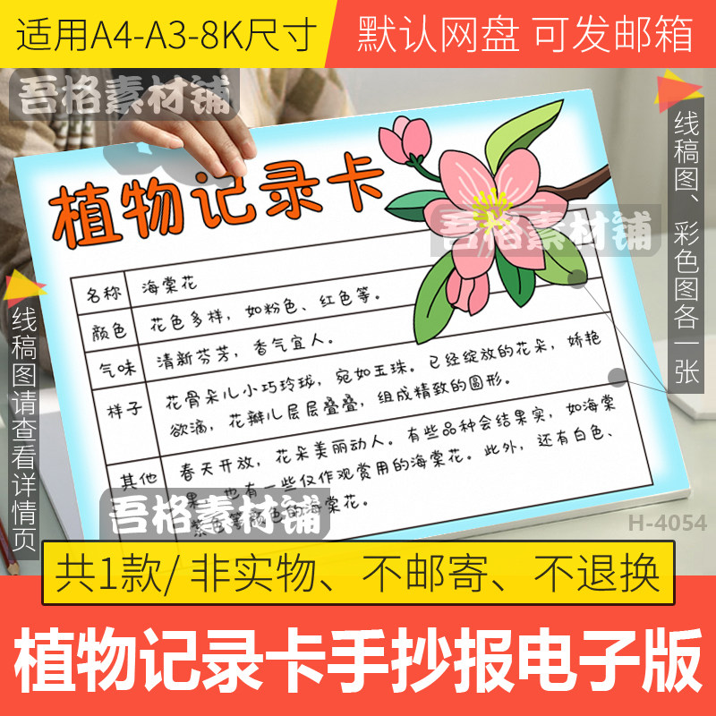 植物记录卡海棠花手抄报模板电子版三年级下语文手抄报黑白线描稿