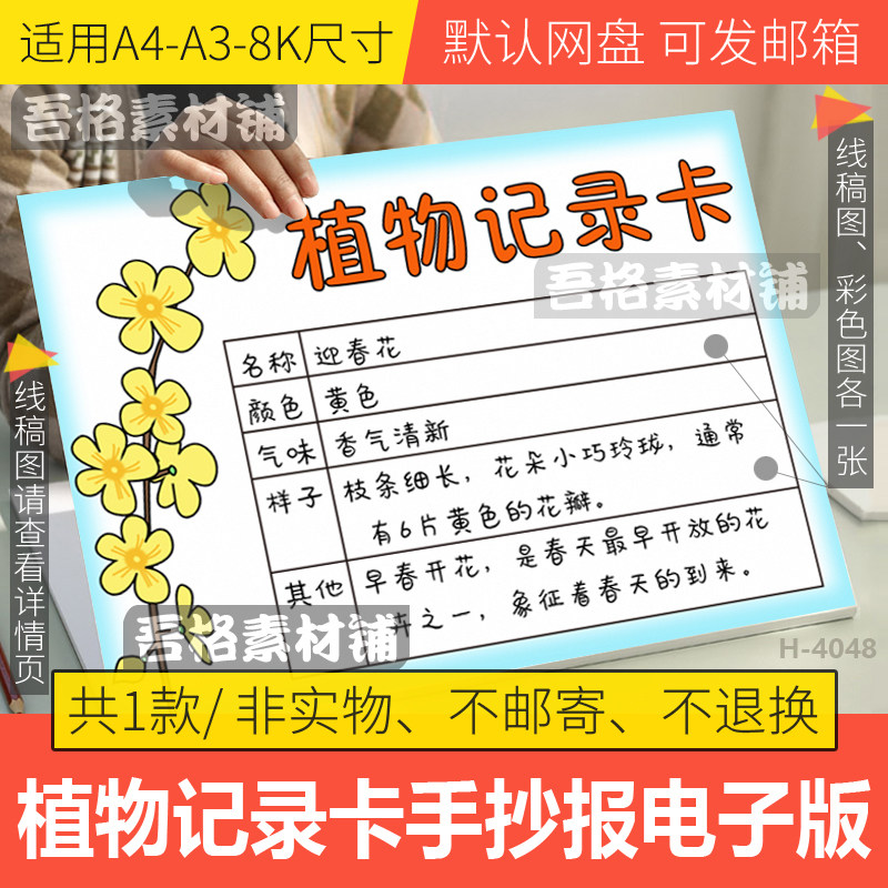 植物记录卡迎春花手抄报模板电子版三年级下语文手抄报黑白线描稿