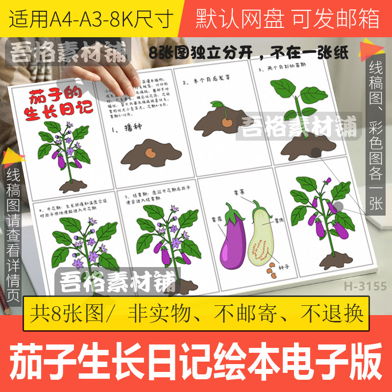 茄子的生长日记绘本手抄报模板电子版植物成长自然笔记手抄报线稿