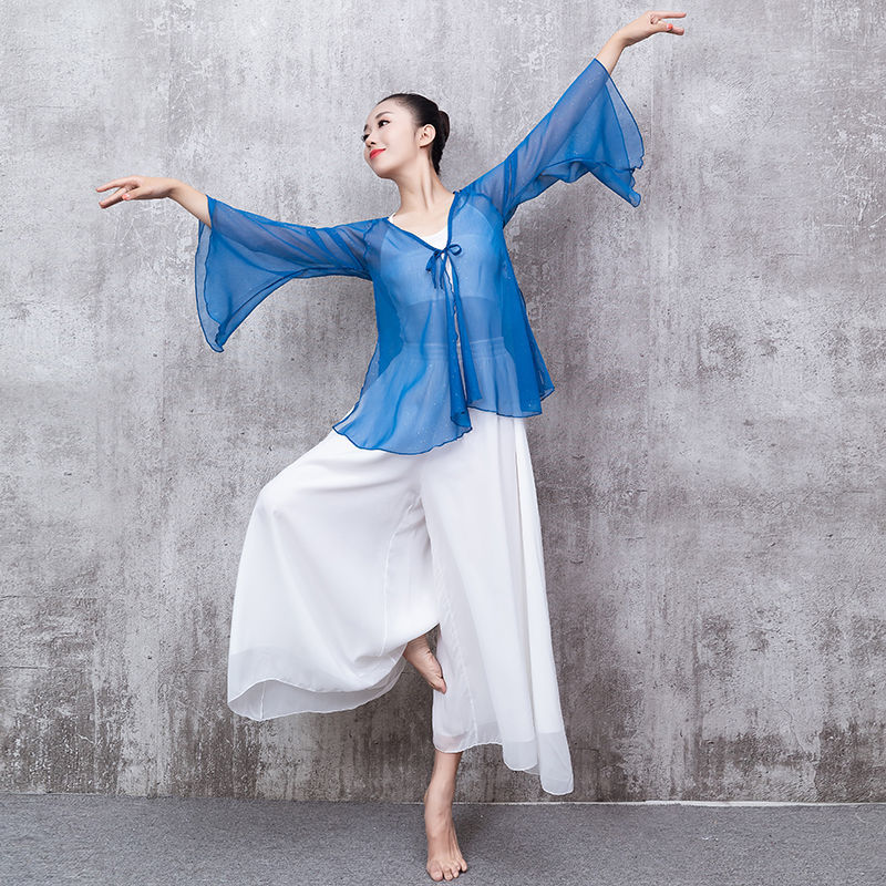 现代舞蹈服女中国舞宽松飘逸雪纺裙裤形体古典舞演出服练功阔腿裤