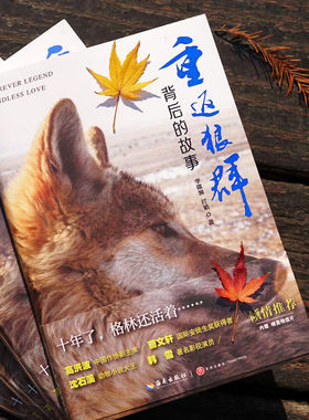 重返狼群背后的故事 李微漪 红娟 著 一部人狼情未了的旷世传奇难以割舍恒以在怀的牵挂 探寻人与自然和谐之道 正版书籍