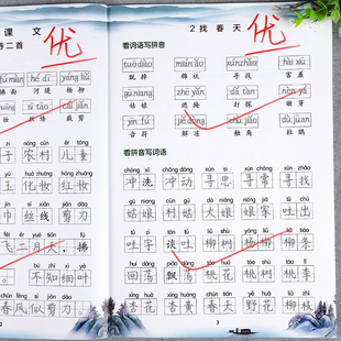 看拼音写词语二年级上册下册小学语文生字注音人教版 组词拼音拼读字词强化训练同步练习册默写能手一课一练看拼音写词语专项训练书