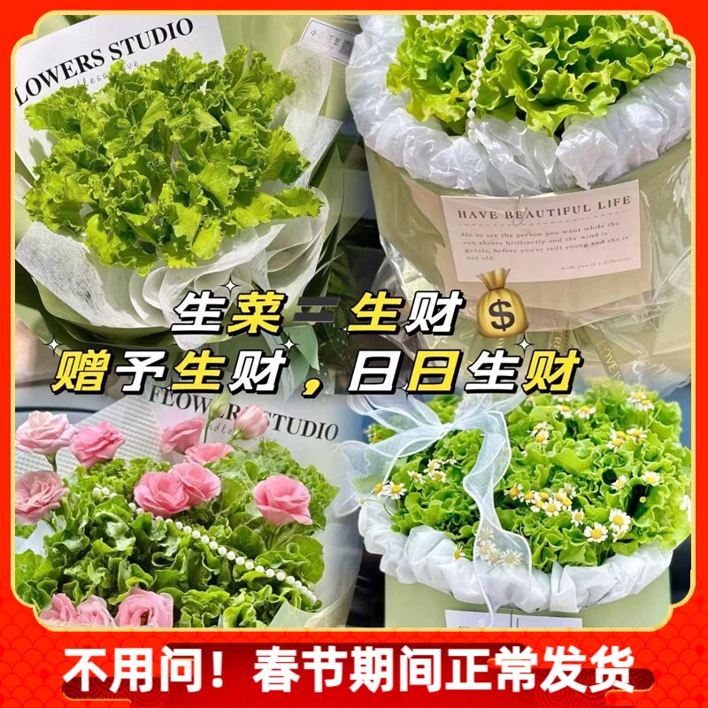 小红书同款送你一束生菜花手工DIY创意蔬菜送蔬菜闺蜜材料包手工
